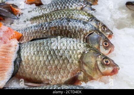 Dorade à tête dorée sur lit de glace dans les étals du marché. Banque D'Images