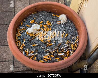 Mégots de cigarettes en grand pot de fleurs - le Dorat, haute-Vienne (87), France. Banque D'Images