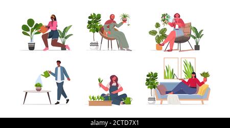 set mix race femmes prenant soin de la houseplants mix course illustration vectorielle pleine longueur de la collection housewives Illustration de Vecteur