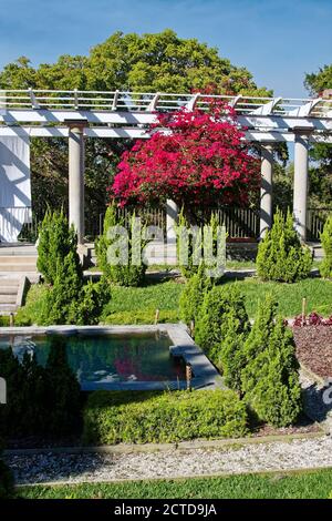 Sunken Garden, Grand Pergola, étang, 1915, arbustes verts, fleurs de bougainvilliers magenta, historique Spanish point, Floride, Osprey, Floride Banque D'Images