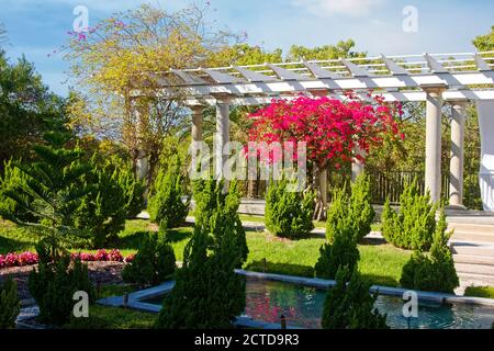 Sunken Garden, Grand Pergola, étang, 1915, arbustes verts, fleurs de bougainvilliers magenta, historique Spanish point, Floride, Osprey, Floride Banque D'Images