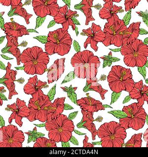 Vecteur tropical Hibiscus fleurs fond de motif sans couture Illustration de Vecteur