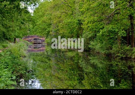 Le magnifique pont Cowshot se reflète dans les eaux calmes Du canal de Basingstoke dans le Surrey Banque D'Images