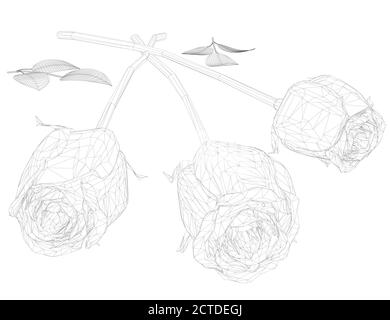 Image filaire d'un bouquet de trois roses à partir de lignes noires isolées sur fond blanc. 3D. Illustration vectorielle Illustration de Vecteur