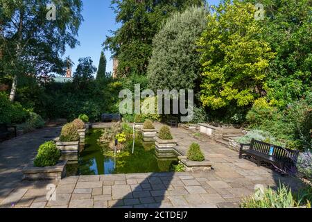 Imola Pond dans le domaine de Castle Park, Colchester, Essex, Royaume-Uni. Banque D'Images