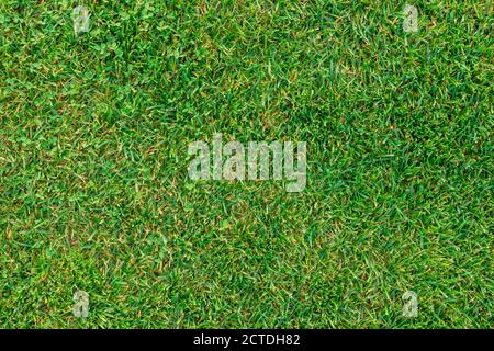 Fragment d'un parcours de golf avec herbe verte. La vue du dessus Banque D'Images