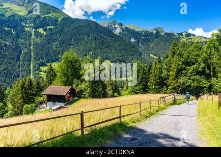 Maison isolée près du village de montagne Lauterbrunnen, Oberland bernois, Suisse. Banque D'Images