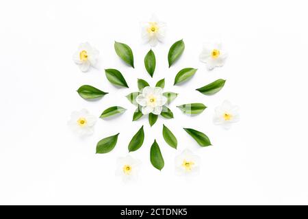 Narcisse de fleurs blanches, boutons de chamomiles, branches et feuilles isolées sur fond blanc. Poser à plat, vue du dessus Banque D'Images