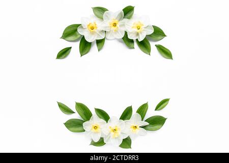 Cadre rond avec narcisse de fleur blanche, boutons de chamomiles, branches et feuilles isolées sur fond blanc. Plan plat, vue du dessus Banque D'Images