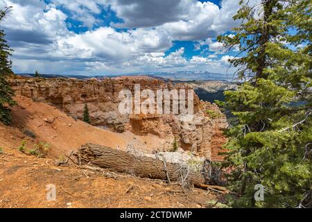 Vue sur Black Birch Canyon dans le parc national de Bryce Canyon, Utah Banque D'Images