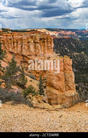 Vue sur Black Birch Canyon dans le parc national de Bryce Canyon, Utah Banque D'Images