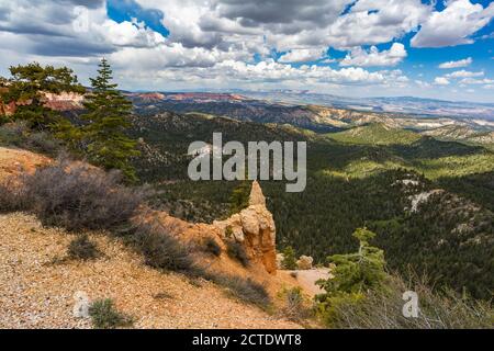 Vue sur Black Birch Canyon dans le parc national de Bryce Canyon, Utah Banque D'Images