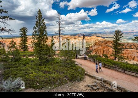 Vue sur Black Birch Canyon dans le parc national de Bryce Canyon, Utah Banque D'Images