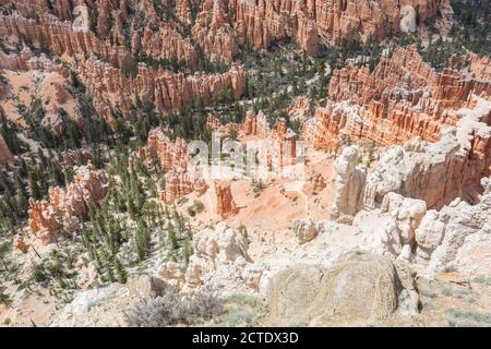 Brice point surplombe le parc national de Bryce Canyon, Utah Banque D'Images