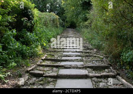 Étapes distinctives sur l'approche de l'église St James, Bratton, Wiltshire, Royaume-Uni Banque D'Images