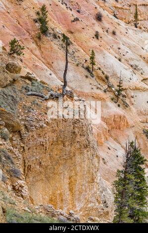 Brice point surplombe le parc national de Bryce Canyon, Utah Banque D'Images