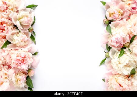 Cadre de bordure de bourgeons de pivoines roses et beiges, de branches et de feuilles isolées sur fond de bois blanc. L'appartement est couché, vue de dessus. Cadre de fleurs. Banque D'Images