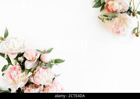 Cadre de bordure en fleur de pivoines rose et beige et isolé sur fond blanc. Flat lay, vue de dessus. Cadre de fleurs. Banque D'Images