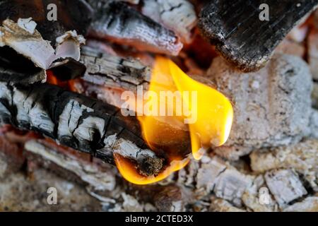 Cendres et petit feu avec bois brûlé. Concept Wildfire. Banque D'Images