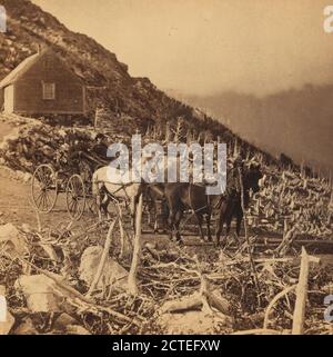 Pony Team descendant la montagne., Bierstadt Brothers, Mountains, Animal teams, New Hampshire, Washington, Mount (N.H Banque D'Images