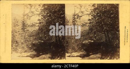 Depuis les rapides et Cascades, Franconia Notch, N.H., James W. Queen & Company, Canyons, Rocks, Trees, Water, New Hampshire, White Mountains (N.H. et moi Banque D'Images