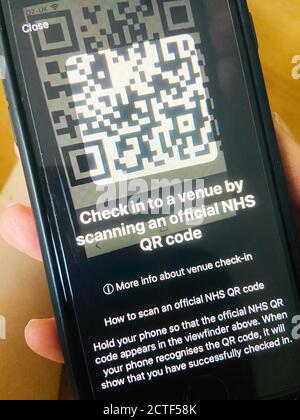 Une personne utilisant l'application NHS Covid-19, qui doit sortir jeudi en Angleterre et au pays de Galles pour soutenir l'initiative NHS Test and Trace, après des mois de retards, de problèmes techniques et de problèmes de confidentialité. Banque D'Images