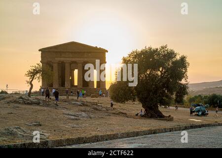 09-09-2020. Agrigento, Sicile, Italie. Vallée des temples : devant le temple de Concord avec un vieil olivier et des touristes au coucher du soleil. Banque D'Images