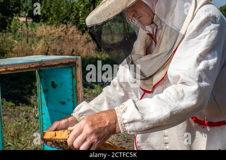 Un homme tient un cadre avec des abeilles dans ses mains. Combinaison pour un gardien de but, combinaison-pantalon et protection en mesh sur la tête Banque D'Images