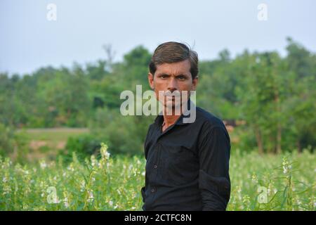 TIKAMGARH, MADHYA PRADESH, INDE - 15 SEPTEMBRE 2020 : agriculteur indien au champ de sésame. Banque D'Images