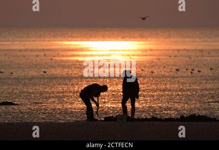 Heacham, Royaume-Uni. 22 septembre 2020. Un couple creusant dans le sable après une chaude journée d'automne à Heacham, Norfolk, Royaume-Uni, le 22 septembre 2020. Crédit : Paul Marriott/Alay Live News Banque D'Images