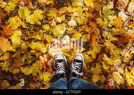 Jambes en baskets et jeans debout sur le sol avec du jaune feuilles Banque D'Images