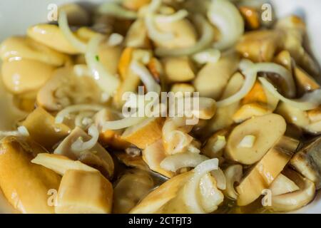 Champignons émincés et oignons dans un bol blanc. Aliments fermentés. Boletus Banque D'Images