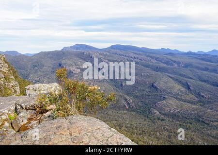 Depuis le point de vue de Reed, vous pourrez profiter d'une vue imprenable sur la Victoria Valley - Grampians, Victoria, Australie Banque D'Images