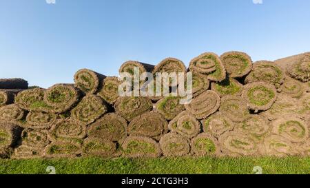 Rouleaux d'herbe verte couchés au-dessus de chacun autre contre le ciel bleu Banque D'Images