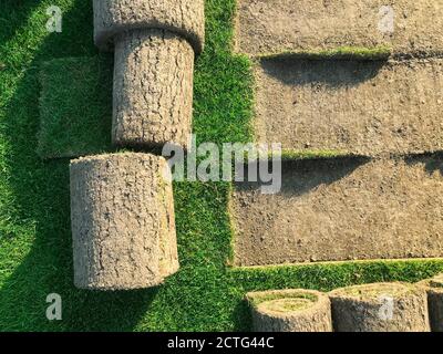 Rouleaux de pelouse herbe verte vue de dessus avec bandes de masse Banque D'Images