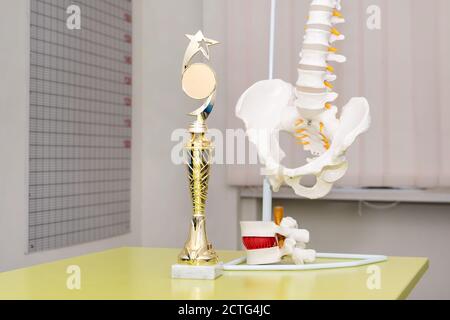 Prix en cabinet médical. Meilleur médecin ou clinique. Foyer sélectif, modèle anatomique de la colonne vertébrale sur fond. Rachis cervical artificiel Banque D'Images