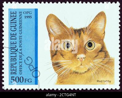 GUINÉE - VERS 1995 : un timbre imprimé en Guinée à partir du numéro des chats montre le tabby rouge, vers 1995. Banque D'Images