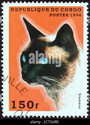 RÉPUBLIQUE DU CONGO - VERS 1996 : un timbre imprimé au Congo à partir du numéro « Domestic Cats » montre un Siamois, vers 1996. Banque D'Images