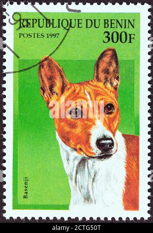 BÉNIN - VERS 1997: Un timbre imprimé au Bénin de l'édition 'Dogs' montre un Basenji, vers 1997. Banque D'Images