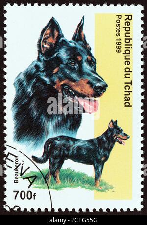 TCHAD - VERS 1999 : un timbre imprimé au Tchad à partir de l'édition « Dogs » montre Beauceron Dog, vers 1999. Banque D'Images