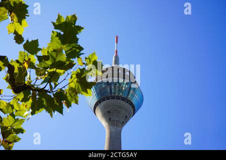 Tour du Rhin (en allemand : Rheinturm), le point de repère de Düsseldorf, par une journée ensoleillée à la fin de l'été. Mise au point sélective avec des feuilles floues d'un arbre au premier plan. Banque D'Images