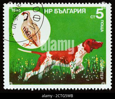 BULGARIE - VERS 1985: Un timbre imprimé en Bulgarie du numéro 'chien de chasse' montre pointeur, Chukar Partridge (Alectoris chukar) Banque D'Images