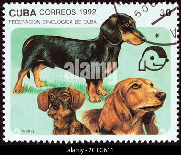 CUBA - VERS 1992 : un timbre imprimé à Cuba à partir du numéro des « Dogs » montre des dachshunds à poil court, à poil long et à poil dur, vers 1992. Banque D'Images