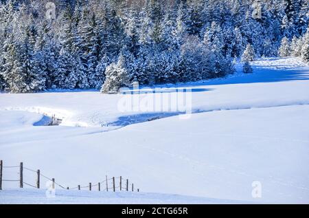 La nature hivernante dans allgäu bavarois Banque D'Images