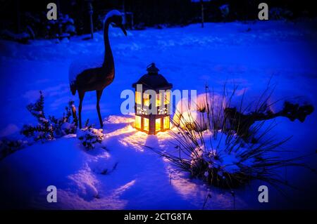 Encore la vie: Belle latern dans le jardin enneigé Banque D'Images