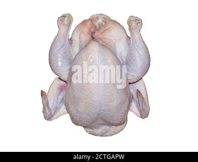Un gros plan d'un poulet entier sur fond blanc. Isolé. Banque D'Images