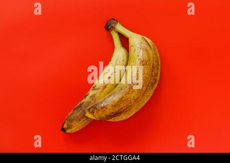 Un bouquet de bananes biologiques très mûres sur fond rouge vue de dessus Banque D'Images