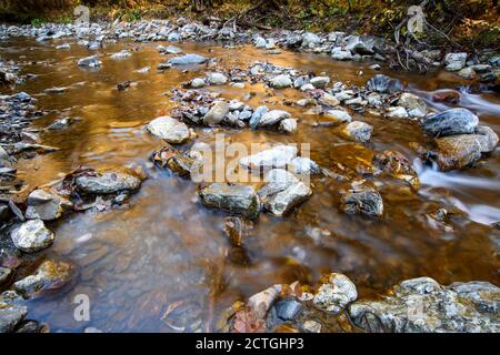 Cours d'eau des montagnes Rocheuses aux reflets dorés en automne dans les Alpes françaises, la Grotte, haute-Savoie, France. Banque D'Images