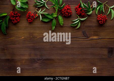 Baies et herbes rouges sauvages sur une table, espace copie Banque D'Images