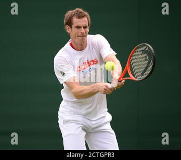 ANDY MURRAY LORS D'UNE SÉANCE D'ENTRAÎNEMENT À WIMBLEDON PHOTO CREDIT : © MARK PAIN / PHOTO DE STOCK D'ALAMY Banque D'Images